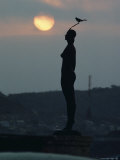 Bird Sits on the Feather of La India Catalina