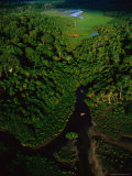 Aerial View of a Rain Forest Interrupted by Small Clearings