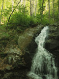 Crabtree Falls Cascades over Rock into a Woodland Pool