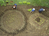 Russian Women Plant a Garden in Chabarovsk