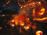 Grinning Lit Jack-O-Lanterns Filling a Tree and a Porch