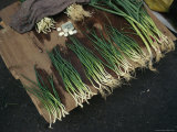 Money Surrounded by Scallions Laid Out for Sale