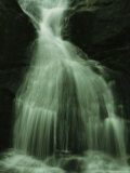 Crabtree Falls Cascades over Rock into a Woodland Pool