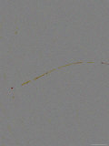 Smear of Yellow across a Gray Background