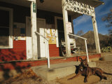 Dog Lying in the Sun near the Porch at the Portal Post Office