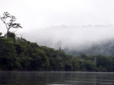 Fog Hovers above Lake Balbina