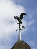 A Sparrow Perched on an Eagle-Shaped Weather Vane