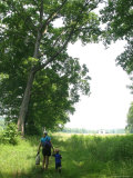 Mother and Son Walking Hand-In-Hand on a Country Path