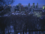 View of the Montreal Skyline from High Atop Mount Royal Park