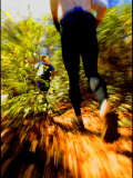 Adventure Racing Through the Woods