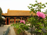 A Rose Garden at the Summer Palace  Now a Public Park 