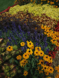 A Flower Bed Grows Near Milwaukees Lakefront
