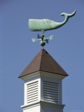 A Sperm Whale Weather Vane on a Roof Top