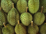 Spiny Green Durian Fruit Sold at a Market