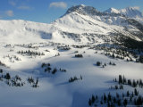 A Snowfield  Trees and Mountains
