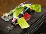 A Screened Carry-on Bag Belonging to the Photographer