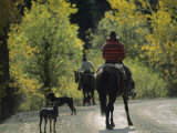 Cowboys and Their Dogs on the Mule Shoe Ranch