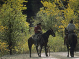 Cowboys and Their Dogs on the Mule Shoe Ranch