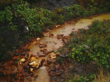 A Stream into Sydney Tar Ponds  Polluted by Coke and Steel Plants