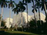 Palm Trees in Front of the Imperial Hotel