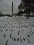Pierre Lenfant Proposed an Equestrian Statue of Washington; the Monument is Instead an Obelisk