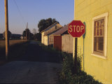 A Stop Sign in a Rural Alley