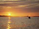 Kayaking at Sunset on Hudson Strait