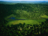 An Aerial View of Langoue Bai  a Waterhole Carved Out by Elephants