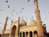 Pigeons Fly Around the Domes and Minarets of the Jama Masjid