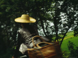 A Woman Rides Her Bike with a Basket Strapped to the Back