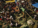 Vendors Display Their Goods at an Outdoor Vegetable Market