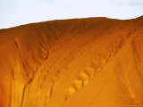 The Setting Sun Casts a Golden Glow on an Uluru Rock Formation