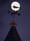 Silhouetted Weather Vane in Moonlight