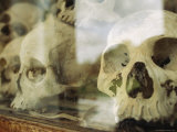 Skulls on Display at the Tuol Sleng Genocide Museum
