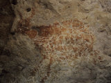 Rock Art of an Ice Age Animal on a Cave Wall in East Kalimantan