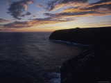 Flocks of Northern Gannets Roost on Cliffs Above the Atlantic Ocean