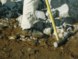Prisoner on a Chain Gang Breaking up Rock with a Sledgehammer