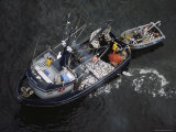 An Elevated View of a Fishing Boat with Fish on the Deck