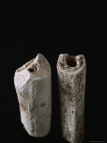 The Femur of a Neandertal (Left) from Krapina Dwarfs That of a Modern Weight Lifter