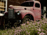 Crown Vetch Flowers  a Barn  and a Vintage Truck Add Local Color