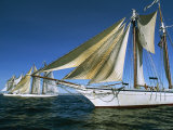 A Trio of Sailboats Lined up at Sea