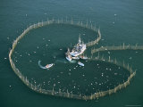 An Elevated View of a Fishing Operation Inside a Weir