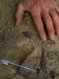 Old Ox-Shoe Found on the Pony Express Route near Dry Creek  Nevada