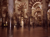 The Ancient Arches of the Mosque in the Mezquita in Cordoba  Spain  Cordoba  Spain
