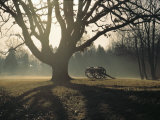 The Battlefield  Shiloh National Military Park  Tennessee