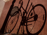A Shadow Pattern Suggests a Bicycle Lying Across the Brick Walk
