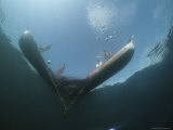 Underwater View of Malawian Fishermen and Their Boats