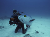 A Diver Has a Close Encounter with a Fish