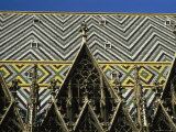 The Roof of St Stephen's Cathedral in Vienna  Austria