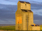 Old Granary at Sipple  Montana  USA